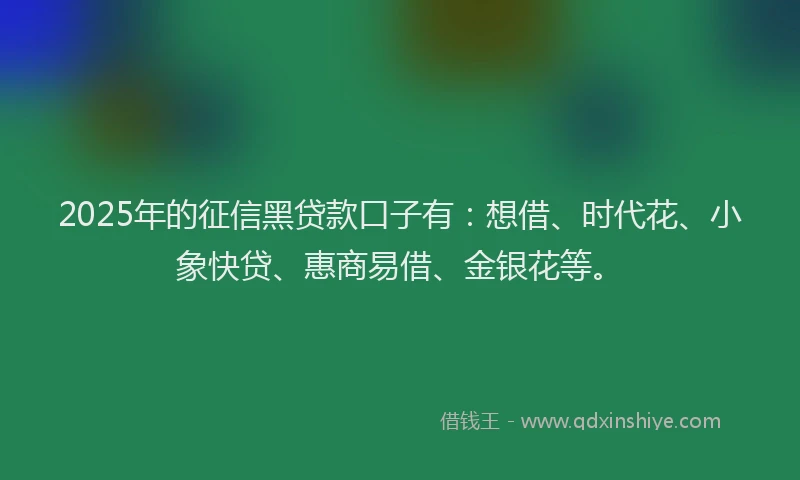 2025年的征信黑贷款口子有：想借、时代花、小象快贷、惠商易借、金银花等。