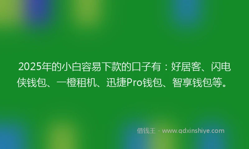 2025年的小白容易下款的口子有：好居客、闪电侠钱包、一橙租机、迅捷Pro钱包、智享钱包等。