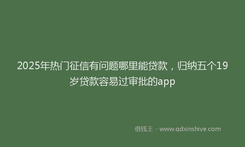 2025年热门征信有问题哪里能贷款，归纳五个19岁贷款容易过审批的app