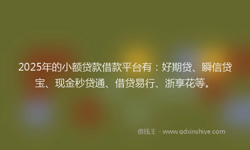 2025年的小额贷款借款平台有：好期贷、瞬信贷宝、现金秒贷通、借贷易行、浙享花等。
