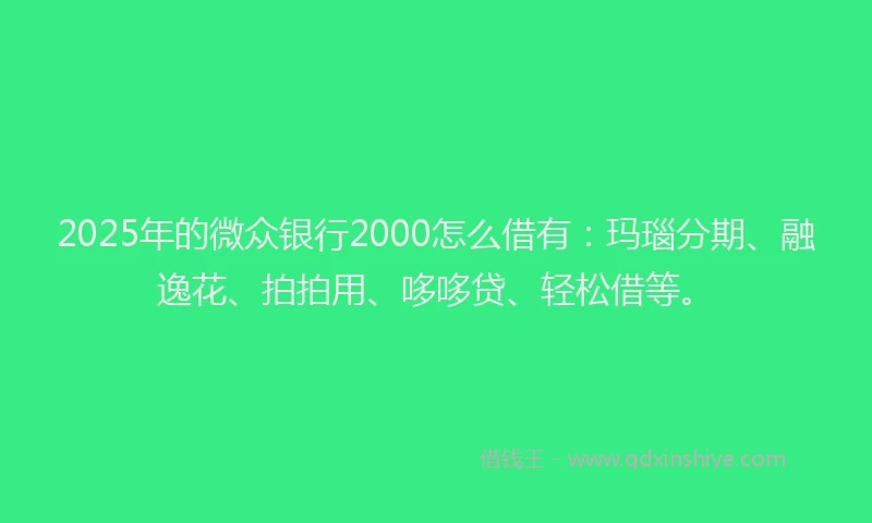 2025年的微众银行2000怎么借有：玛瑙分期、融逸花、拍拍用、哆哆贷、轻松借等。