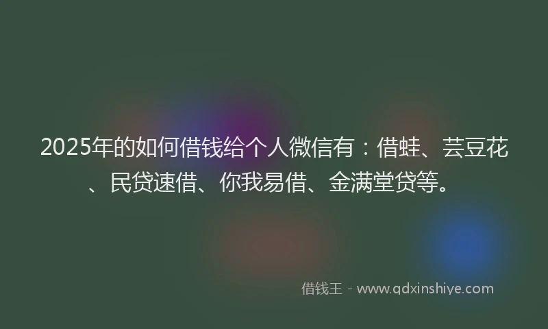 2025年的如何借钱给个人微信有：借蛙、芸豆花、民贷速借、你我易借、金满堂贷等。