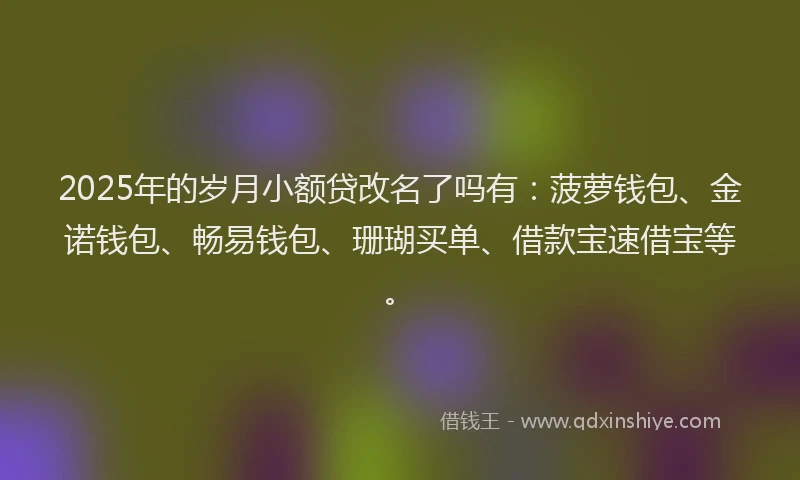 2025年的岁月小额贷改名了吗有：菠萝钱包、金诺钱包、畅易钱包、珊瑚买单、借款宝速借宝等。