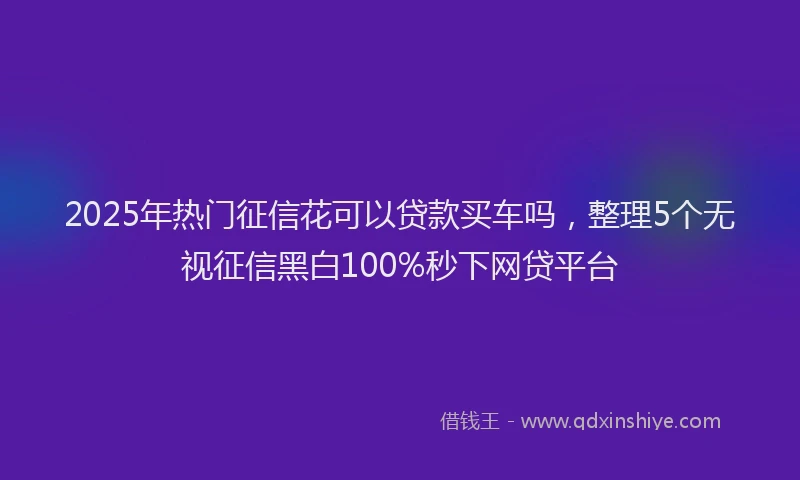 2025年热门征信花可以贷款买车吗，整理5个无视征信黑白100%秒下网贷平台