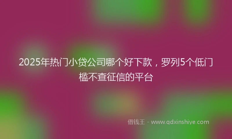2025年热门小贷公司哪个好下款，罗列5个低门槛不查征信的平台
