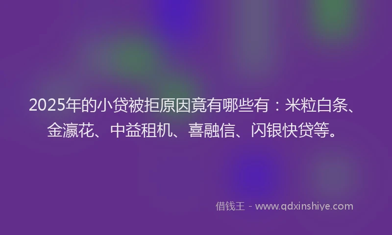 2025年的小贷被拒原因竟有哪些有：米粒白条、金瀛花、中益租机、喜融信、闪银快贷等。