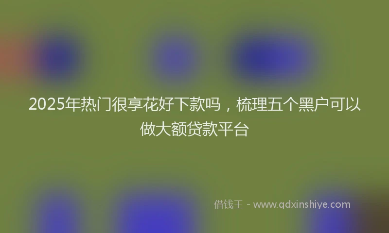 2025年热门很享花好下款吗，梳理五个黑户可以做大额贷款平台