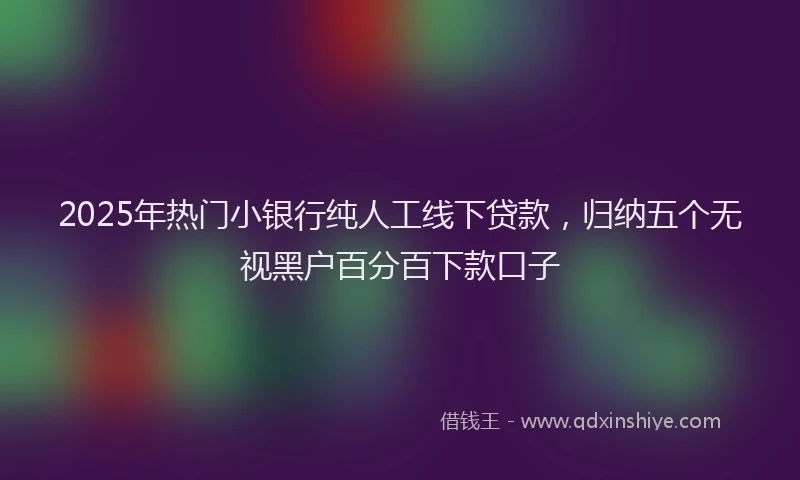 2025年热门小银行纯人工线下贷款，归纳五个无视黑户百分百下款口子