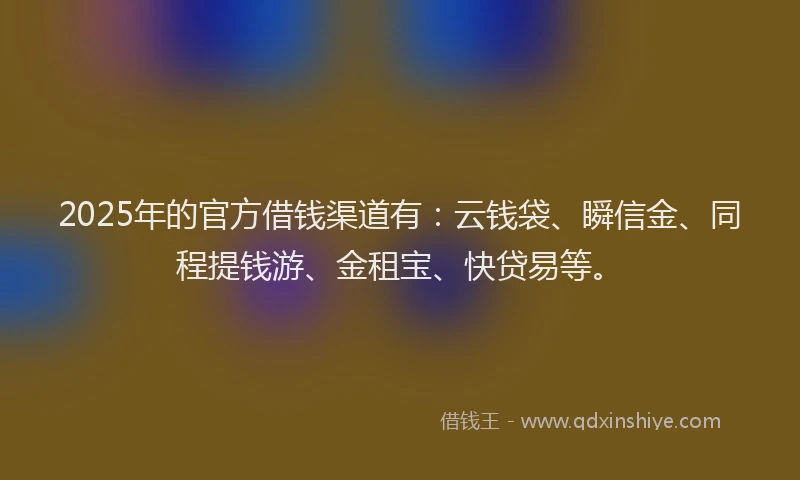 2025年的官方借钱渠道有：云钱袋、瞬信金、同程提钱游、金租宝、快贷易等。