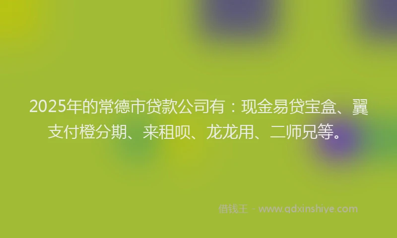 2025年的常德市贷款公司有：现金易贷宝盒、翼支付橙分期、来租呗、龙龙用、二师兄等。