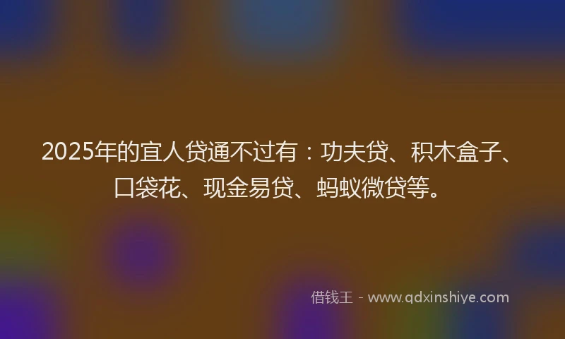 2025年的宜人贷通不过有：功夫贷、积木盒子、口袋花、现金易贷、蚂蚁微贷等。