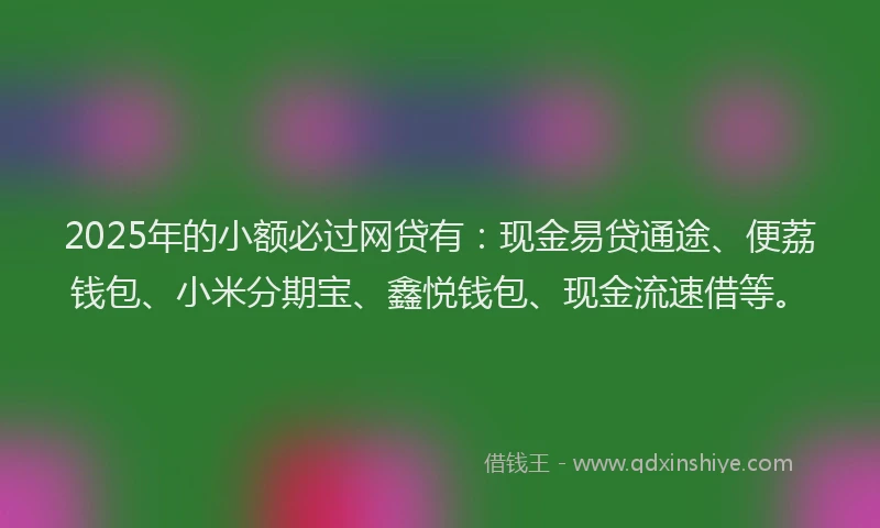 2025年的小额必过网贷有：现金易贷通途、便荔钱包、小米分期宝、鑫悦钱包、现金流速借等。