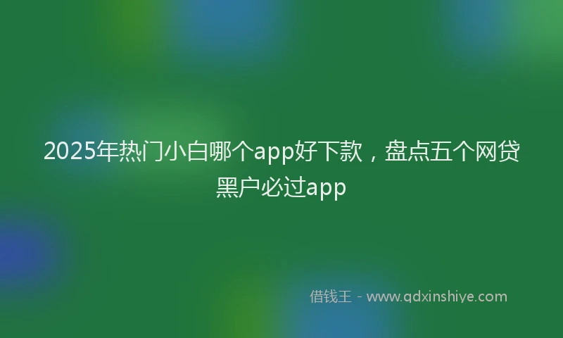 2025年热门小白哪个app好下款，盘点五个网贷黑户必过app