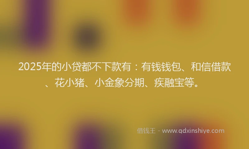 2025年的小贷都不下款有：有钱钱包、和信借款、花小猪、小金象分期、疾融宝等。