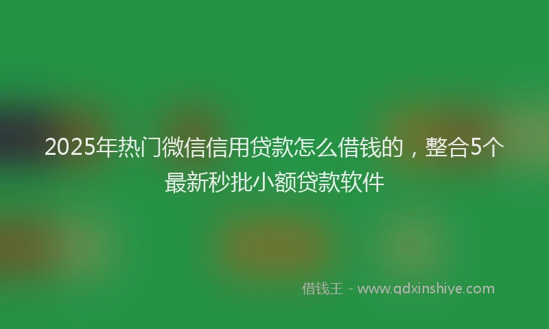 2025年热门微信信用贷款怎么借钱的，整合5个最新秒批小额贷款软件