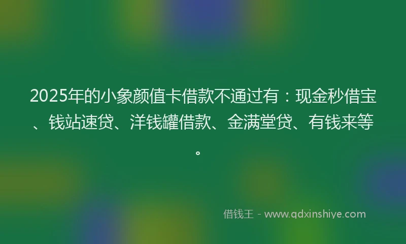 2025年的小象颜值卡借款不通过有：现金秒借宝、钱站速贷、洋钱罐借款、金满堂贷、有钱来等。