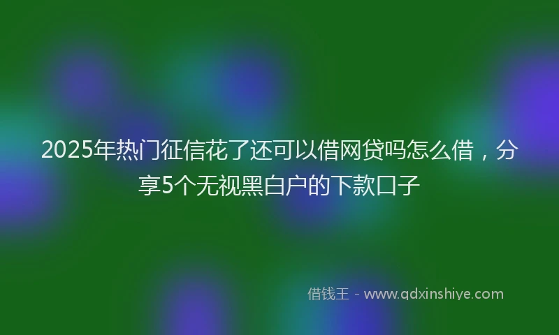 2025年热门征信花了还可以借网贷吗怎么借，分享5个无视黑白户的下款口子
