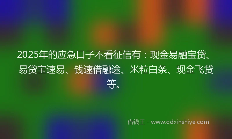 2025年的应急口子不看征信有：现金易融宝贷、易贷宝速易、钱速借融途、米粒白条、现金飞贷等。
