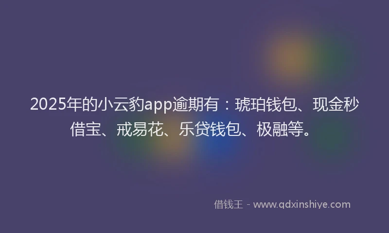 2025年的小云豹app逾期有：琥珀钱包、现金秒借宝、戒易花、乐贷钱包、极融等。