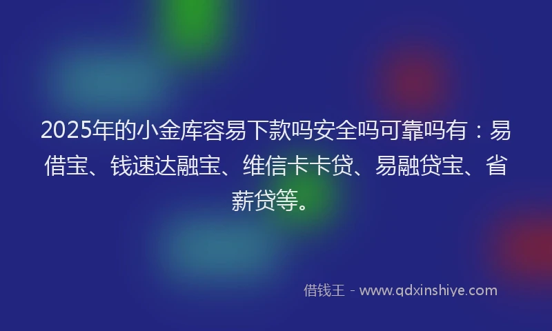 2025年的小金库容易下款吗安全吗可靠吗有：易借宝、钱速达融宝、维信卡卡贷、易融贷宝、省薪贷等。