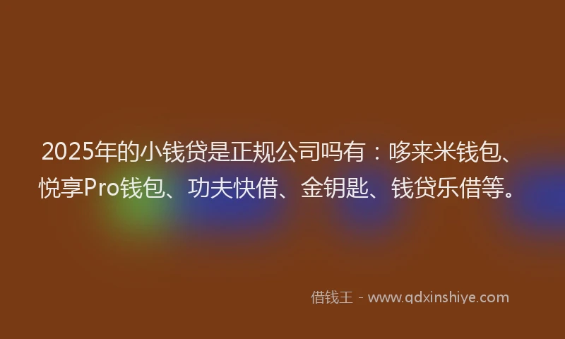 2025年的小钱贷是正规公司吗有：哆来米钱包、悦享Pro钱包、功夫快借、金钥匙、钱贷乐借等。