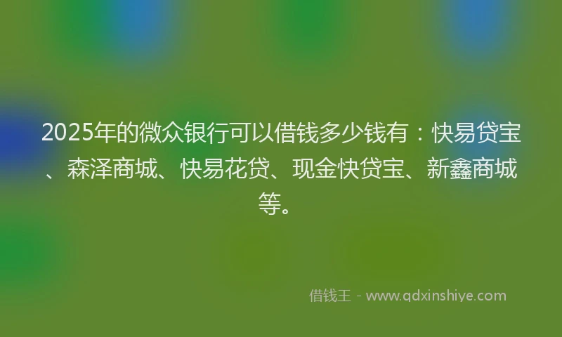 2025年的微众银行可以借钱多少钱有：快易贷宝、森泽商城、快易花贷、现金快贷宝、新鑫商城等。