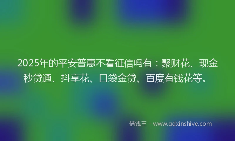 2025年的平安普惠不看征信吗有：聚财花、现金秒贷通、抖享花、口袋金贷、百度有钱花等。