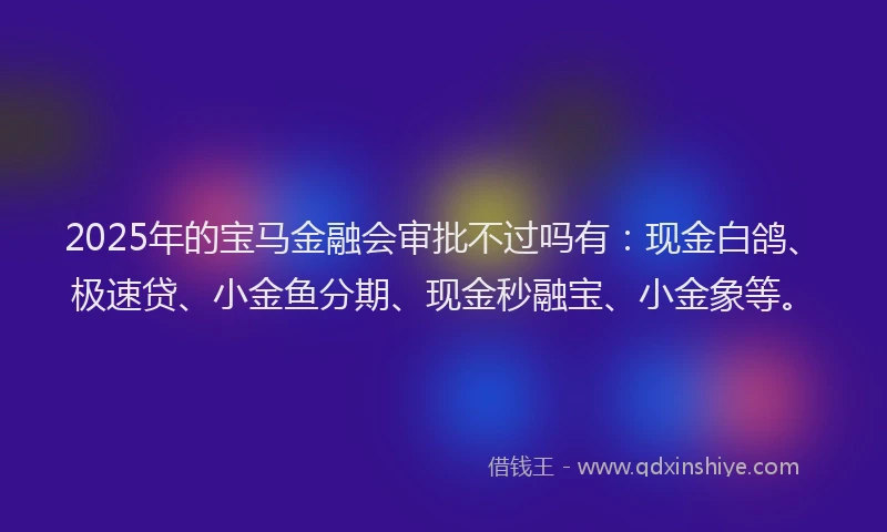 2025年的宝马金融会审批不过吗有：现金白鸽、极速贷、小金鱼分期、现金秒融宝、小金象等。
