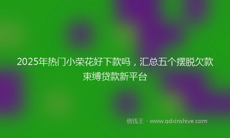 2025年热门小荣花好下款吗，汇总五个摆脱欠款束缚贷款新平台