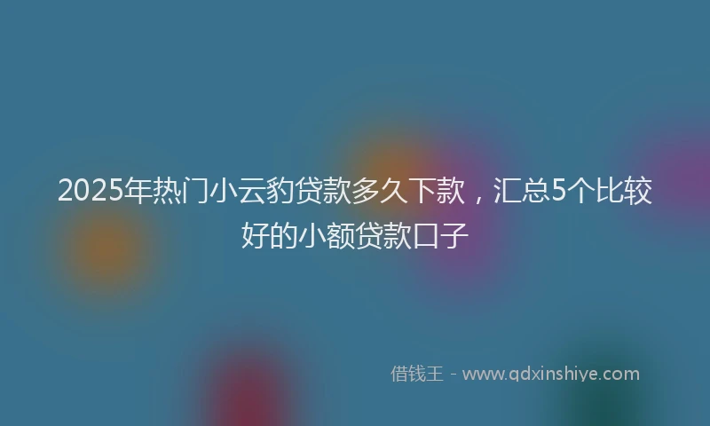 2025年热门小云豹贷款多久下款，汇总5个比较好的小额贷款口子