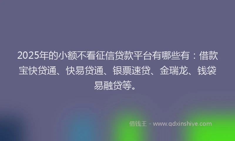 2025年的小额不看征信贷款平台有哪些有：借款宝快贷通、快易贷通、银票速贷、金瑞龙、钱袋易融贷等。