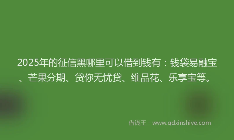 2025年的征信黑哪里可以借到钱有：钱袋易融宝、芒果分期、贷你无忧贷、维品花、乐享宝等。