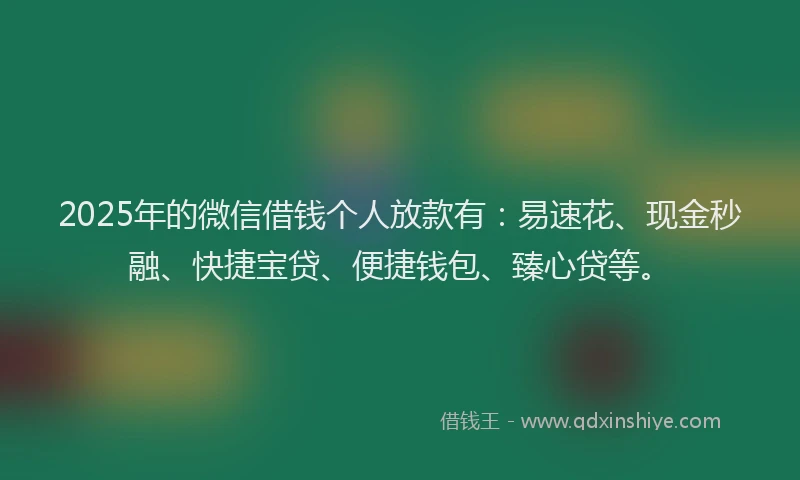 2025年的微信借钱个人放款有：易速花、现金秒融、快捷宝贷、便捷钱包、臻心贷等。