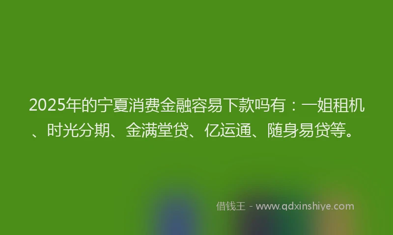 2025年的宁夏消费金融容易下款吗有：一姐租机、时光分期、金满堂贷、亿运通、随身易贷等。