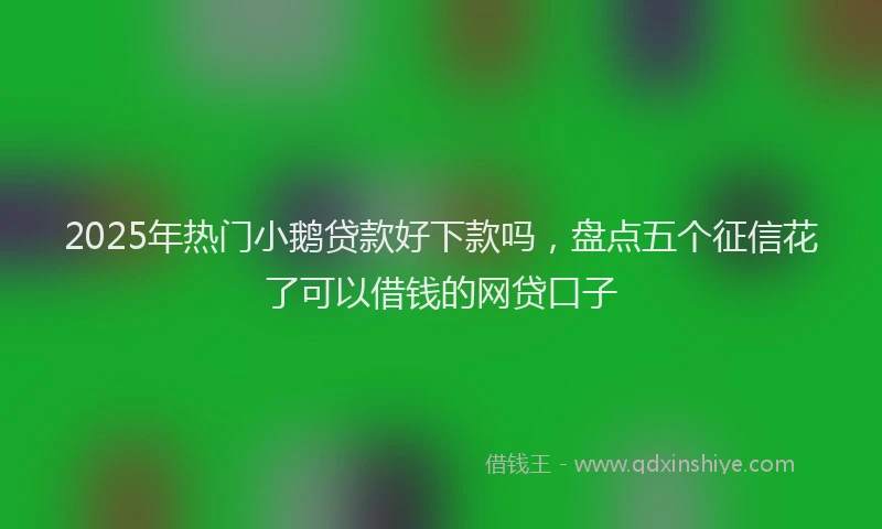 2025年热门小鹅贷款好下款吗，盘点五个征信花了可以借钱的网贷口子
