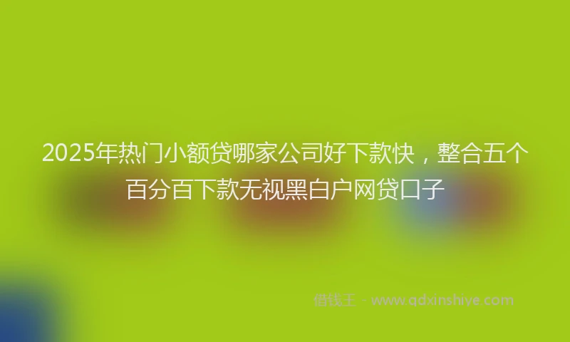 2025年热门小额贷哪家公司好下款快，整合五个百分百下款无视黑白户网贷口子