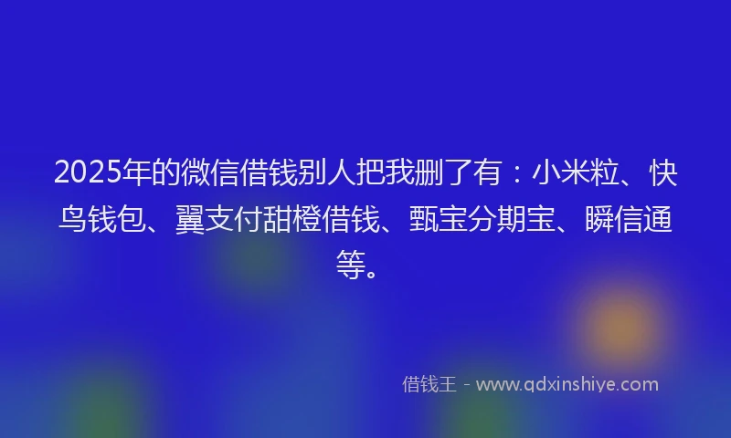 2025年的微信借钱别人把我删了有：小米粒、快鸟钱包、翼支付甜橙借钱、甄宝分期宝、瞬信通等。