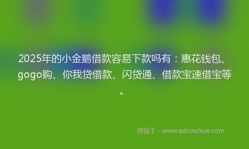 2025年的小金鹅借款容易下款吗有：惠花钱包、gogo购、你我贷借款、闪贷通、借款宝速借宝等。