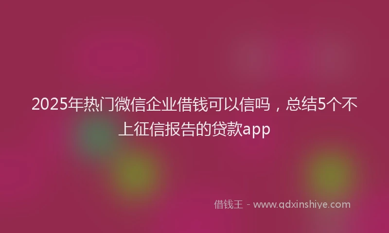 2025年热门微信企业借钱可以信吗，总结5个不上征信报告的贷款app