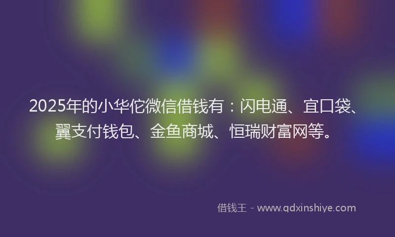 2025年的小华佗微信借钱有：闪电通、宜口袋、翼支付钱包、金鱼商城、恒瑞财富网等。