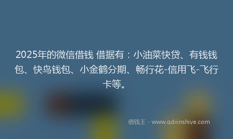 2025年的微信借钱 借据有：小油菜快贷、有钱钱包、快鸟钱包、小金鹤分期、畅行花-信用飞-飞行卡等。