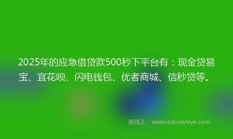 2025年的应急借贷款500秒下平台有：现金贷易宝、宜花呗、闪电钱包、优者商城、信秒贷等。