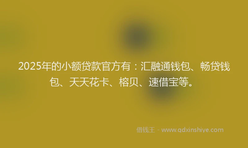 2025年的小额贷款官方有：汇融通钱包、畅贷钱包、天天花卡、榕贝、速借宝等。