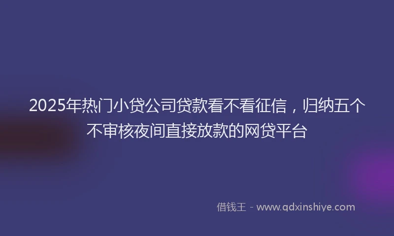 2025年热门小贷公司贷款看不看征信，归纳五个不审核夜间直接放款的网贷平台