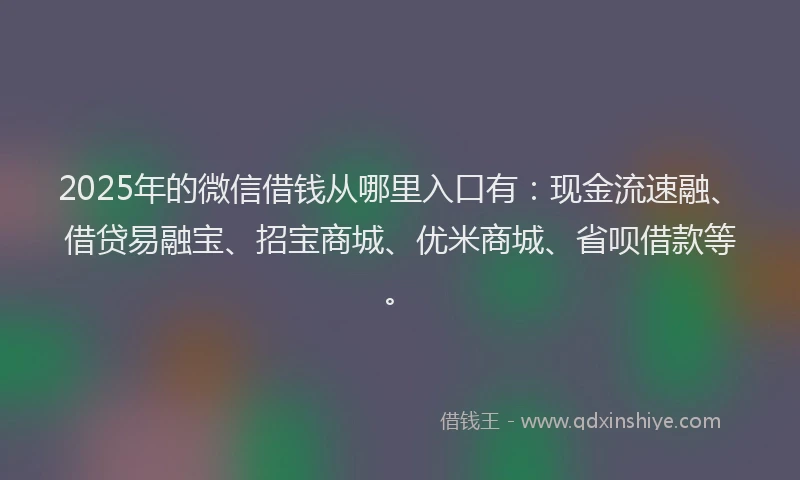 2025年的微信借钱从哪里入口有：现金流速融、借贷易融宝、招宝商城、优米商城、省呗借款等。