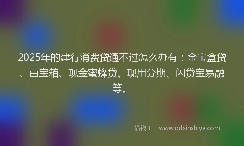 2025年的建行消费贷通不过怎么办有：金宝盒贷、百宝箱、现金蜜蜂贷、现用分期、闪贷宝易融等。