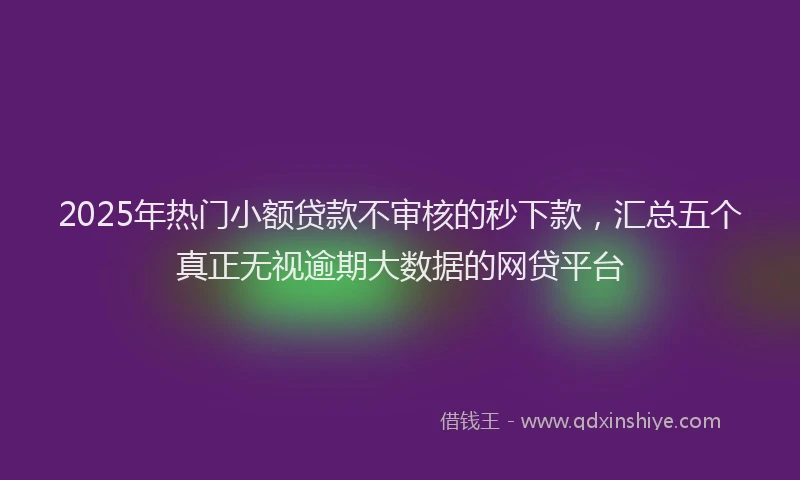 2025年热门小额贷款不审核的秒下款，汇总五个真正无视逾期大数据的网贷平台