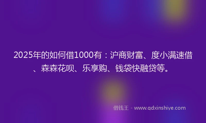 2025年的如何借1000有：沪商财富、度小满速借、森森花呗、乐享购、钱袋快融贷等。