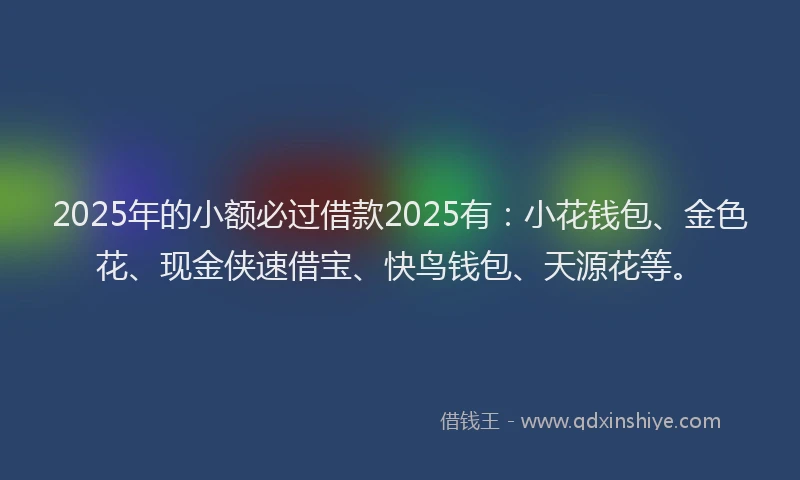 2025年的小额必过借款2025有：小花钱包、金色花、现金侠速借宝、快鸟钱包、天源花等。