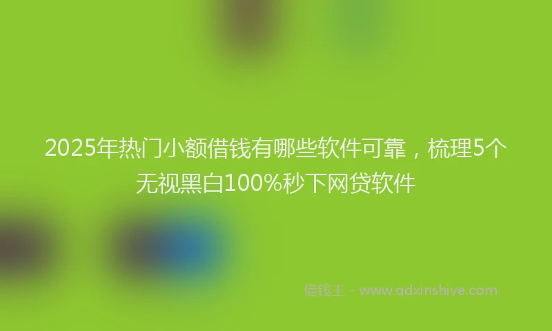 2025年热门小额借钱有哪些软件可靠，梳理5个无视黑白100%秒下网贷软件